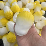 Crunchy Sensory Stress Ball Toy