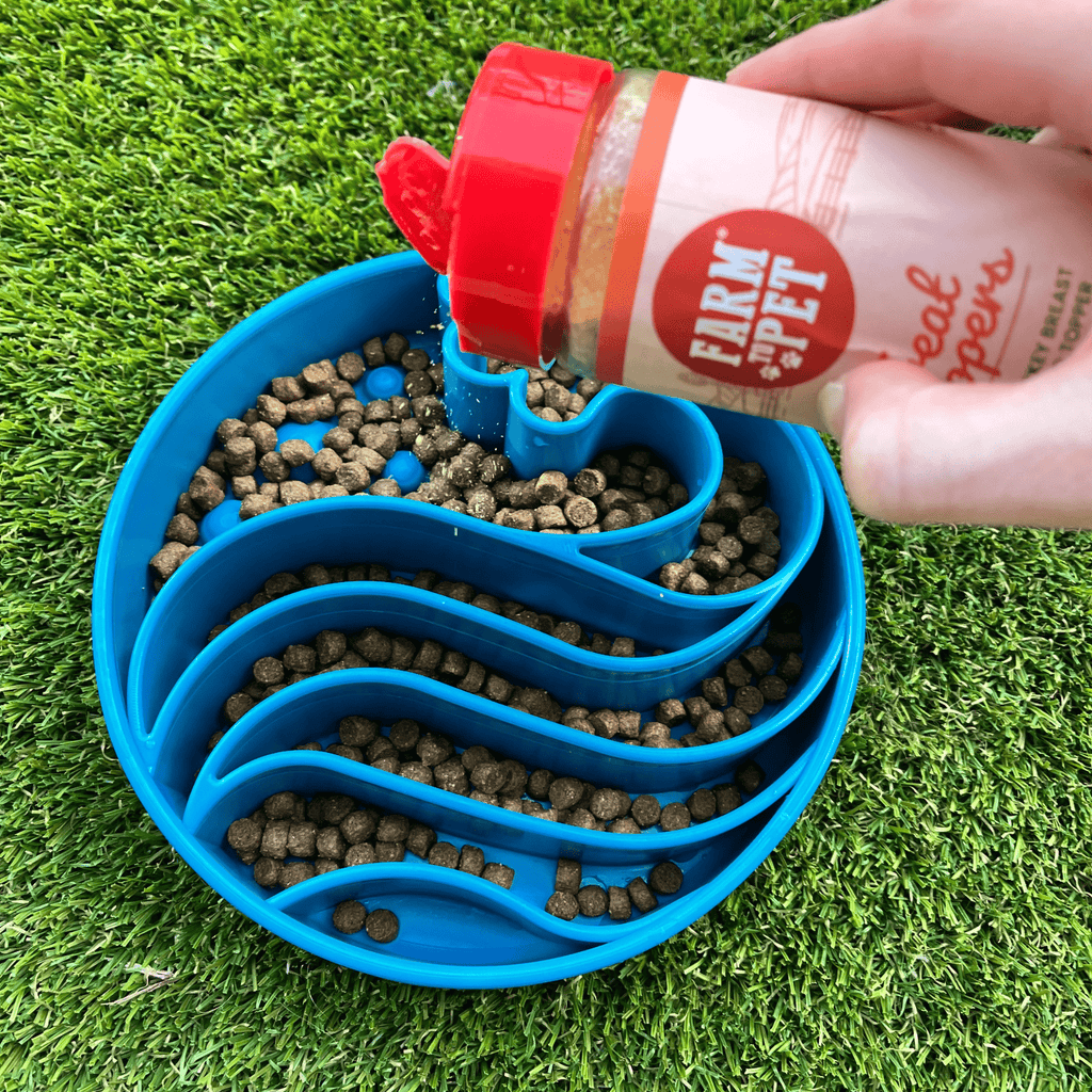 Slow Feeder Dog Bowls